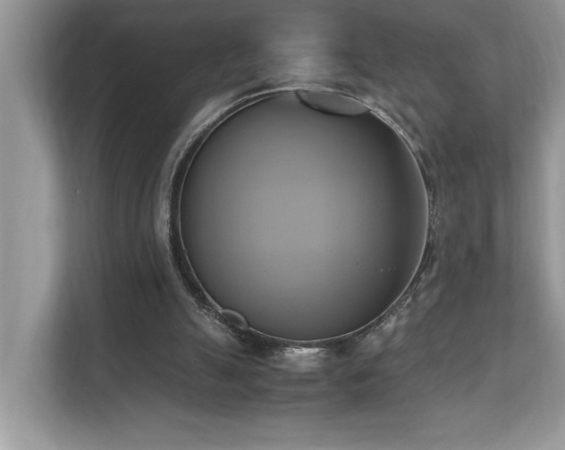 X0000110730055200906121456