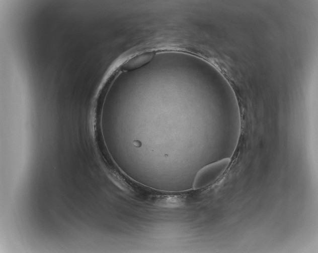 X0000110730056200906121456