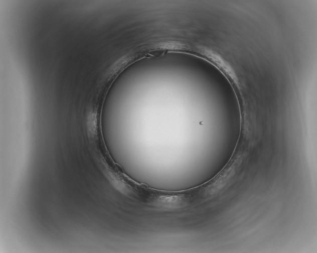 X0000110730057200906121456