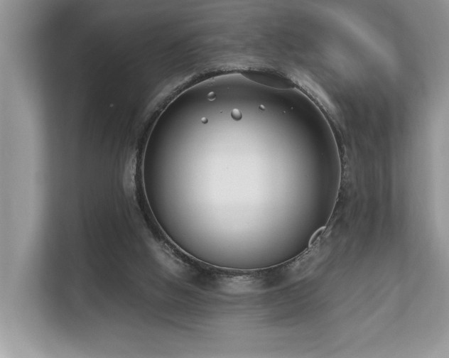 X0000110730058200906121456