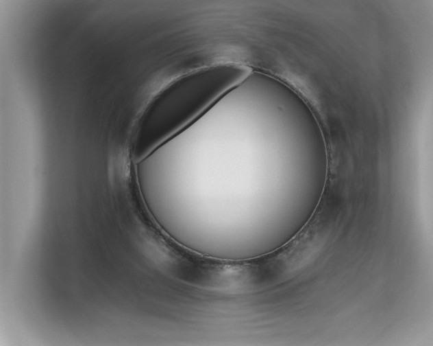 X0000110730060200906121456