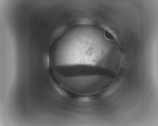 X0000110730061200906121456