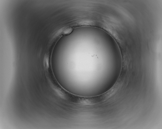X0000110730062200906121456