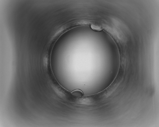X0000110730063200906121456