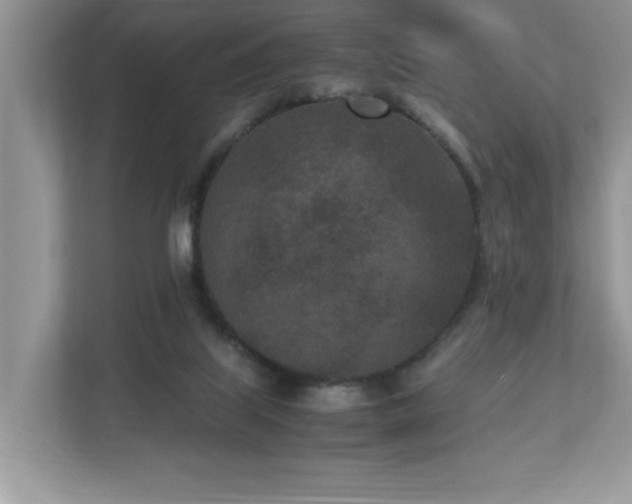X0000110730067200906121457