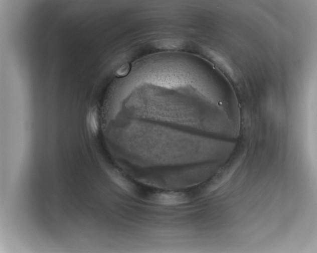 X0000110730069200906121457