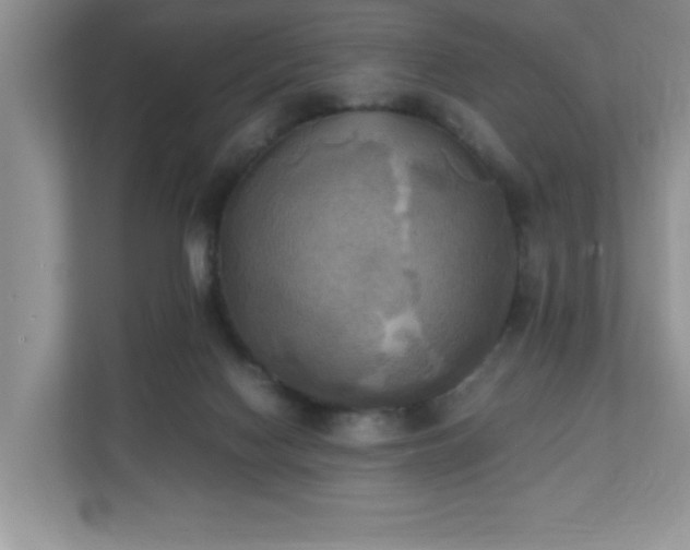 X0000110730074200906121457