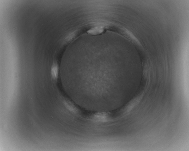 X0000110730076200906121457