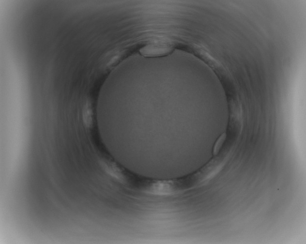 X0000110730080200906121457