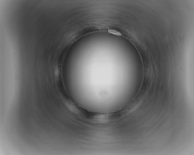 X0000110730084200906121457