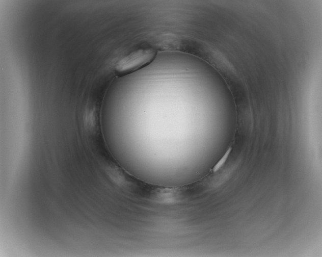X0000110730088200906121457