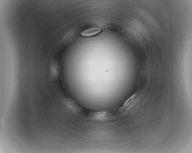 X0000110730090200906121457