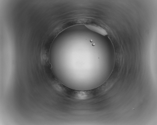 X0000110730091200906121457