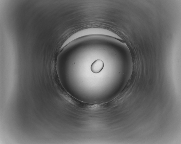 X0000110730092200906121457
