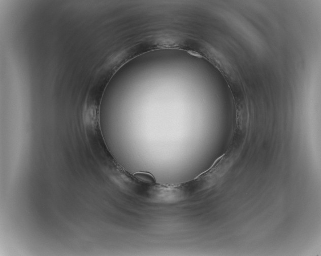 X0000110730093200906121457