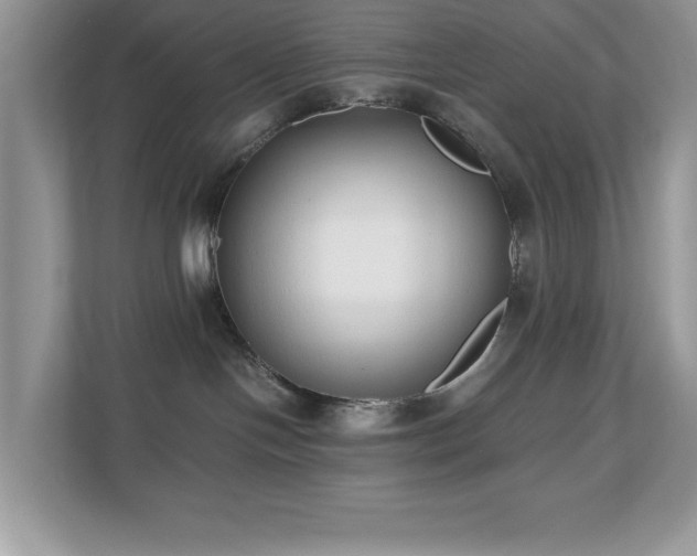 X0000110730094200906121457