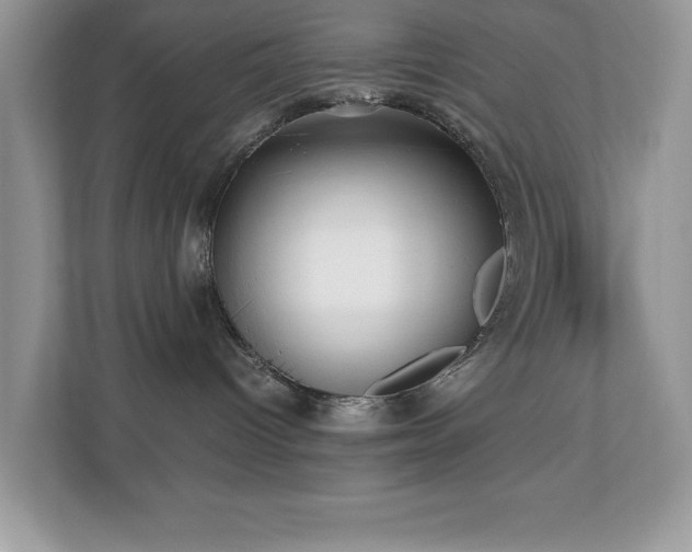 X0000110730096200906121457