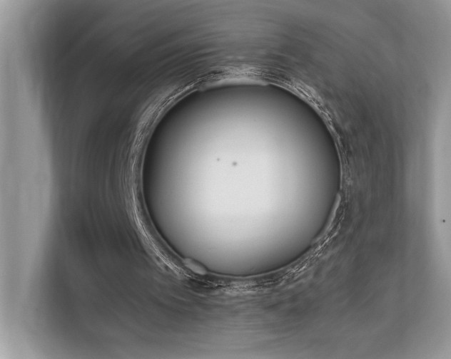 X0000110730097200906121456