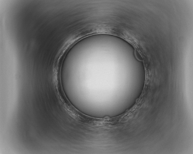 X0000110730098200906121456
