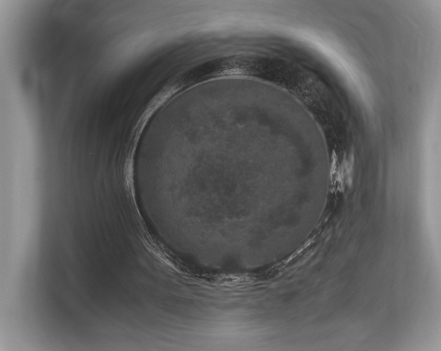 X0000110730099200906121456