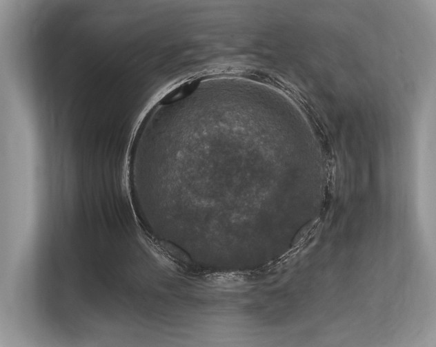 X0000110730100200906121456