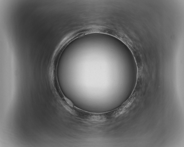 X0000110730101200906121456