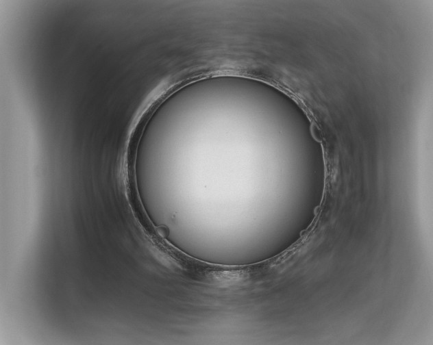 X0000110730102200906121456