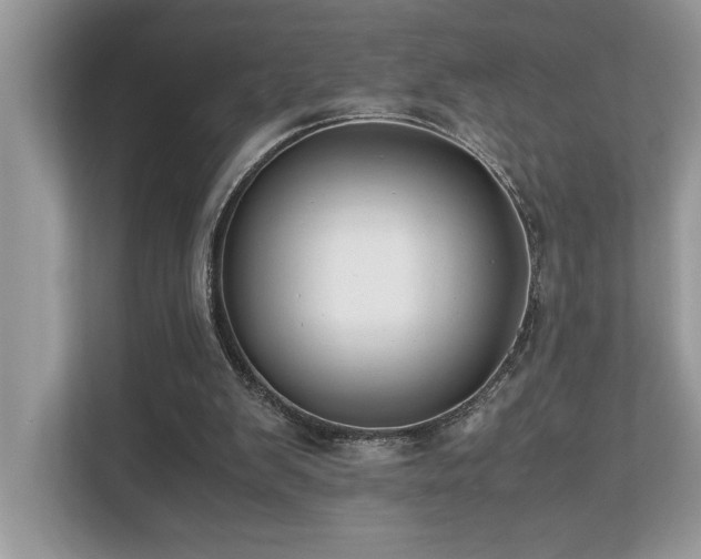 X0000110730103200906121456