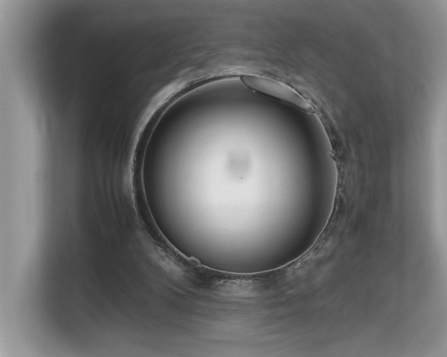 X0000110730104200906121456