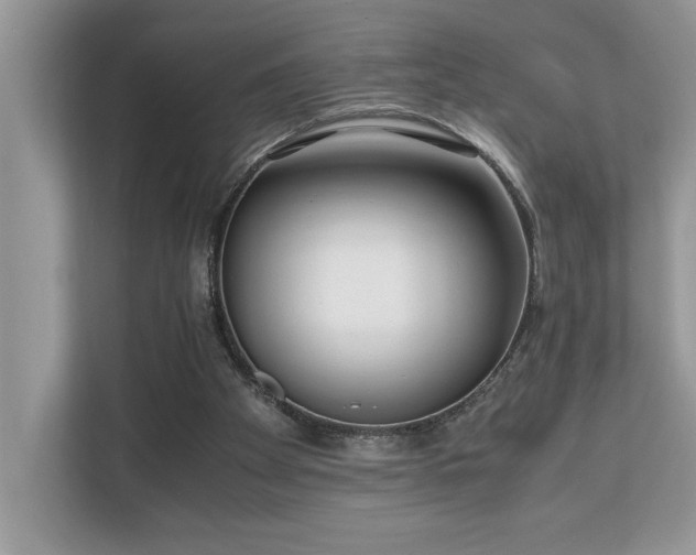 X0000110730105200906121456