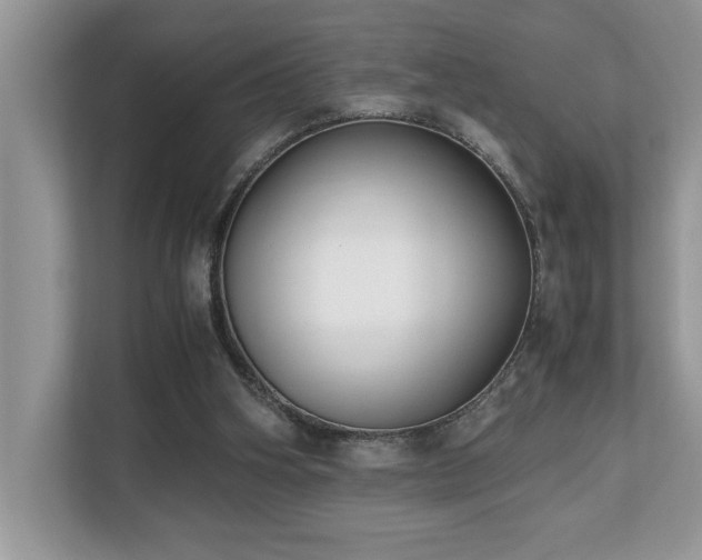 X0000110730106200906121456