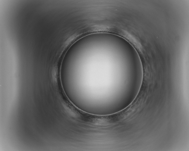 X0000110730107200906121456