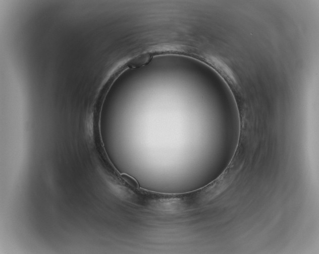 X0000110730108200906121456