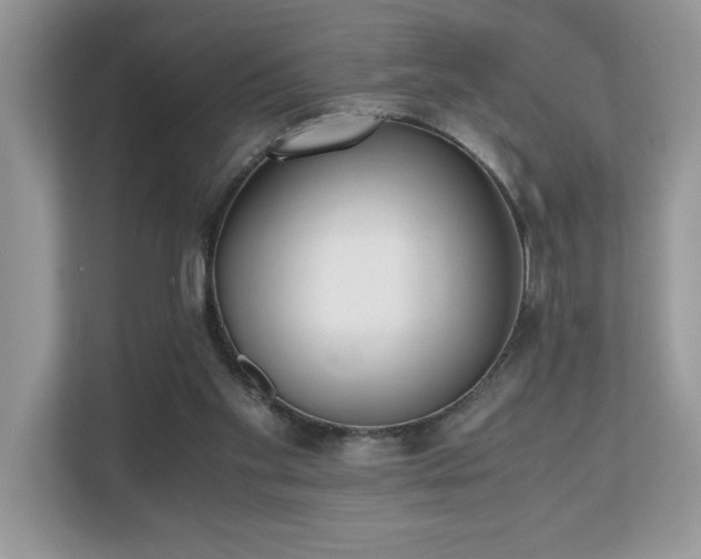 X0000110730109200906121456