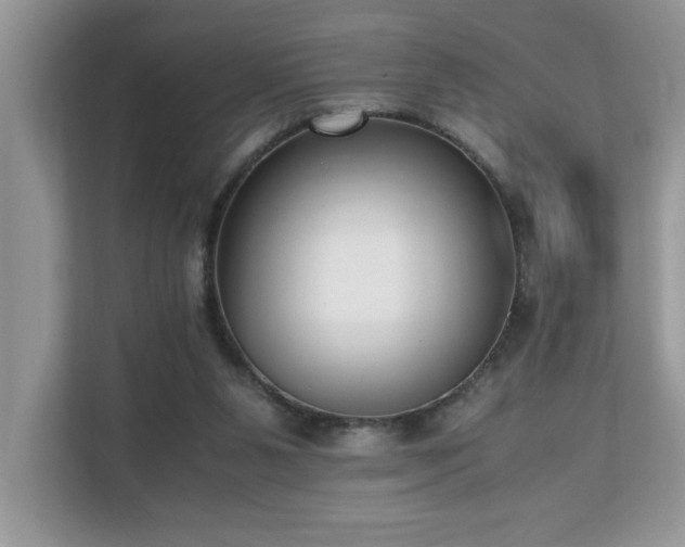 X0000110730111200906121456