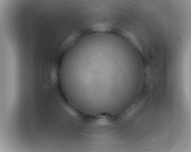X0000110730114200906121456
