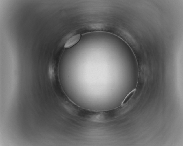 X0000110730116200906121456