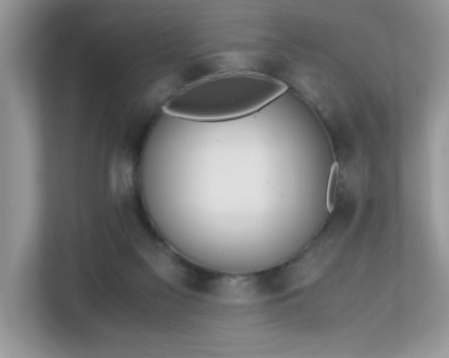 X0000110730117200906121456