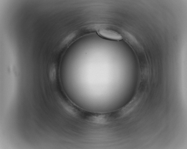 X0000110730120200906121456