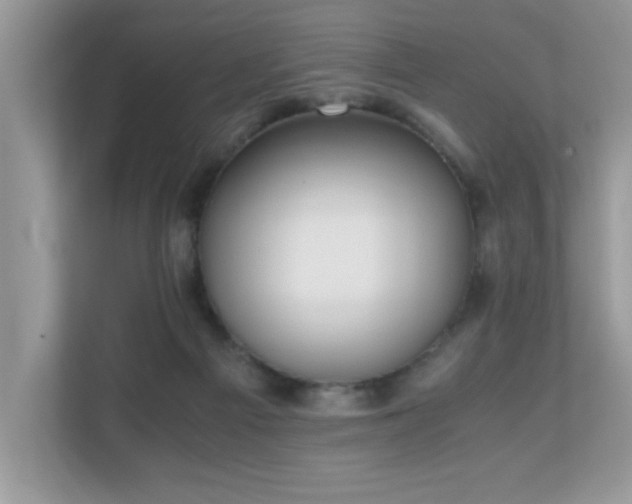 X0000110730121200906121456