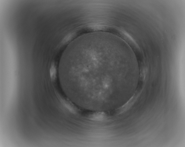 X0000110730124200906121456