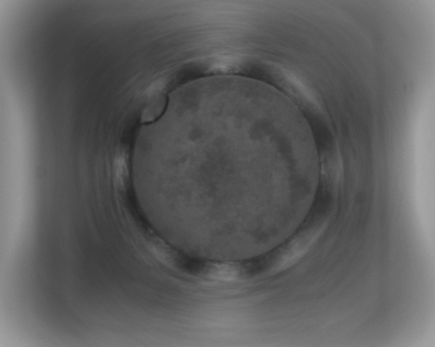X0000110730127200906121456