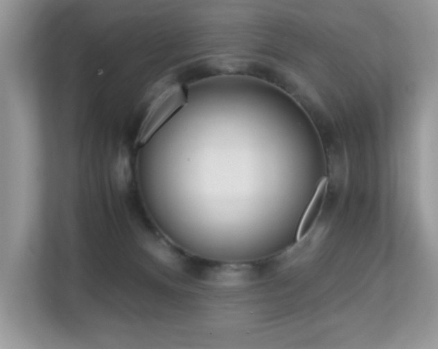 X0000110730128200906121456