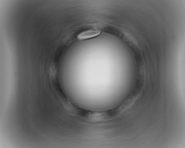 X0000110730129200906121456