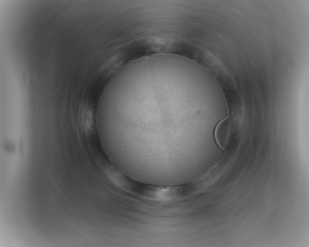 X0000110730130200906121456