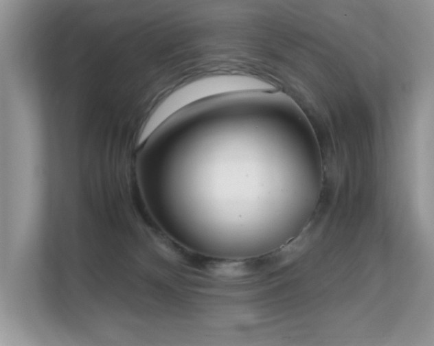 X0000110730132200906121456