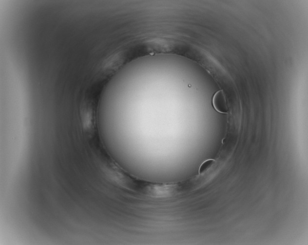 X0000110730134200906121456