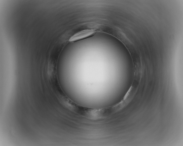 X0000110730136200906121456
