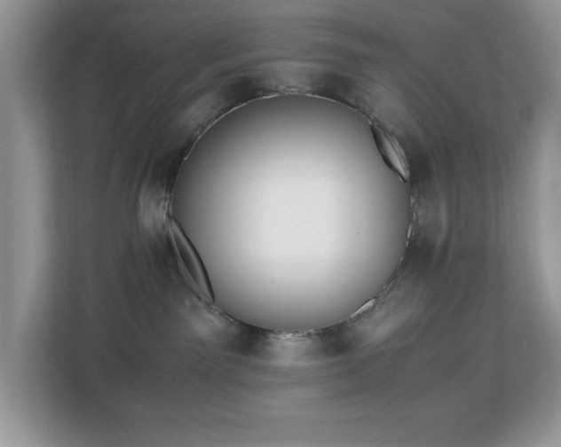 X0000110730141200906121456