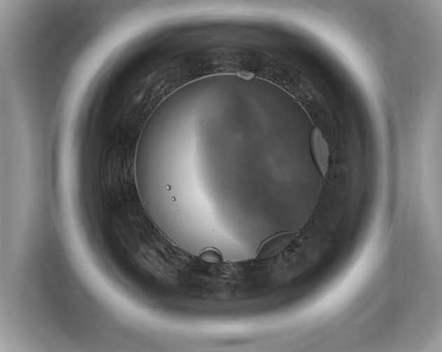 X0000110730143200906121456